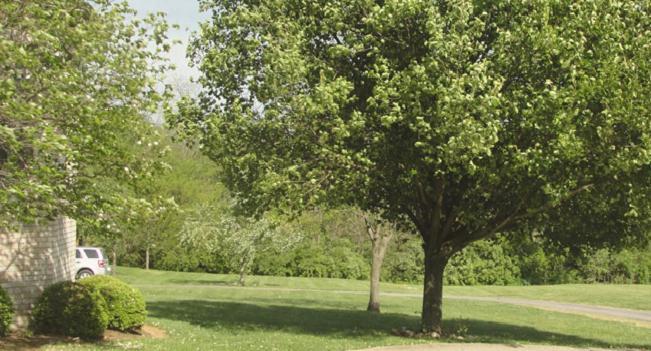 Rabbit Creek Bed & Breakfast Versailles Εξωτερικό φωτογραφία